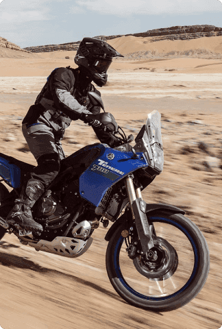 Programa tu Servicio